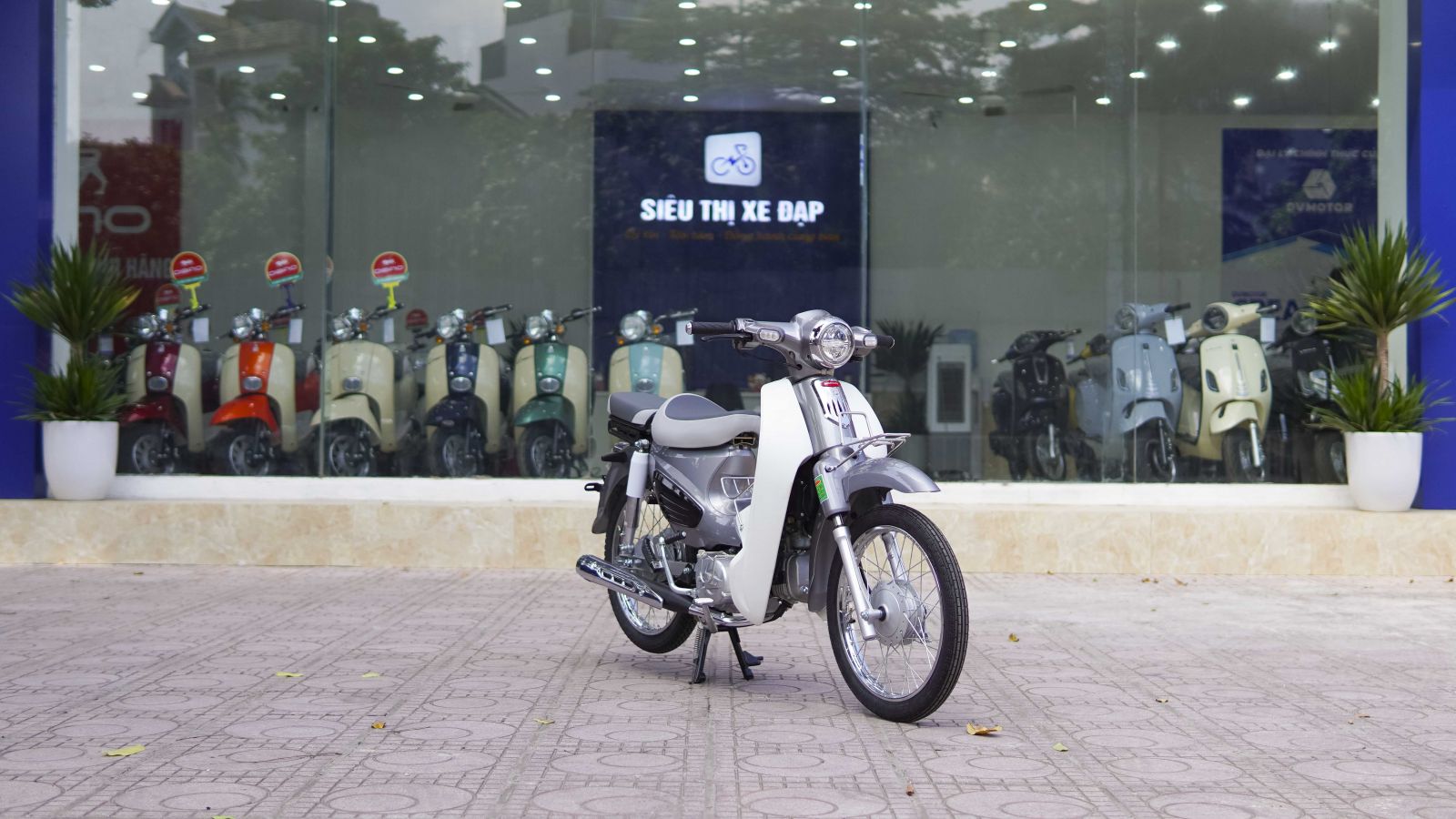 Xe cub 50cc Daelim C6 sở hữu nhiều ưu điểm mà bạn không thể bỏ qua